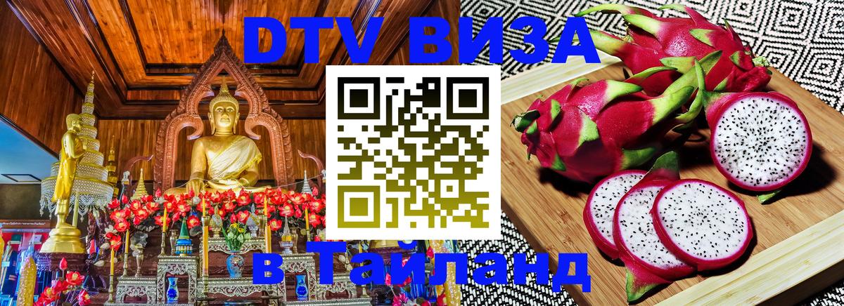 Оформление DTV визы под ключ: стоимость и тарифы, только загранпаспорт - 